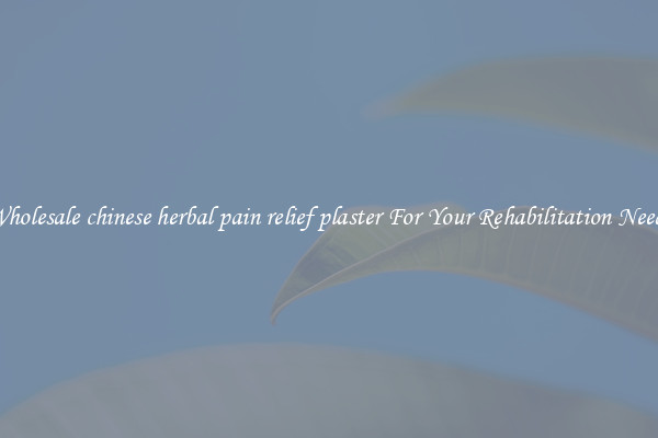 Wholesale chinese herbal pain relief plaster For Your Rehabilitation Needs
