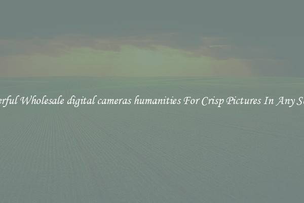 Powerful Wholesale digital cameras humanities For Crisp Pictures In Any Setting