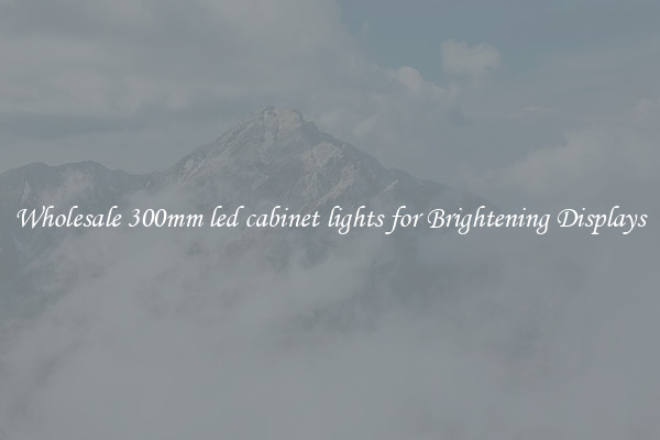 Wholesale 300mm led cabinet lights for Brightening Displays