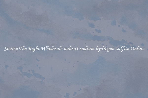 Source The Right Wholesale nahso3 sodium hydrogen sulfite Online
