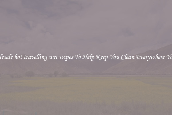 Wholesale hot travelling wet wipes To Help Keep You Clean Everywhere You Go
