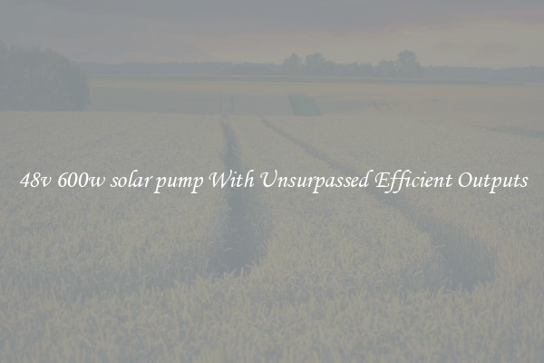 48v 600w solar pump With Unsurpassed Efficient Outputs