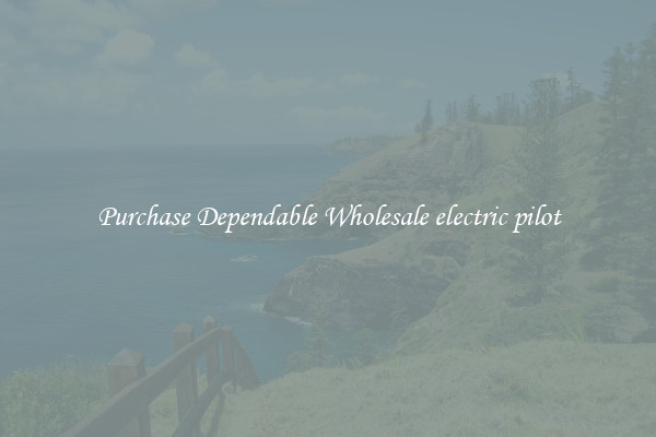 Purchase Dependable Wholesale electric pilot