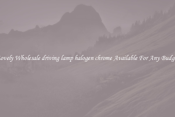 Lovely Wholesale driving lamp halogen chrome Available For Any Budget