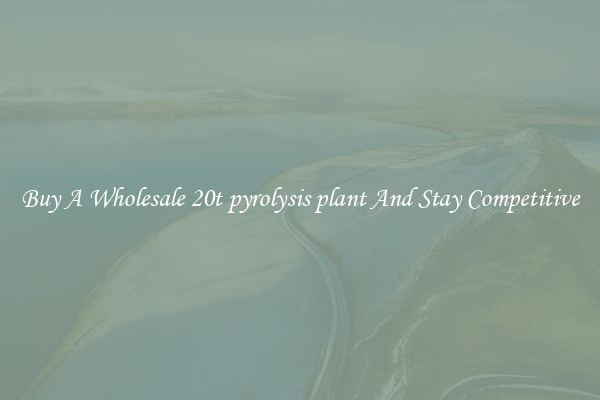 Buy A Wholesale 20t pyrolysis plant And Stay Competitive