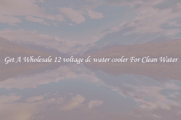 Get A Wholesale 12 voltage dc water cooler For Clean Water