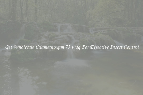 Get Wholesale thiamethoxam 75 wdg For Effective Insect Control