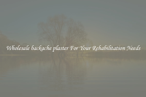 Wholesale backache plaster For Your Rehabilitation Needs