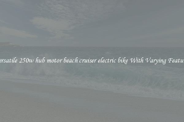 Versatile 250w hub motor beach cruiser electric bike With Varying Features