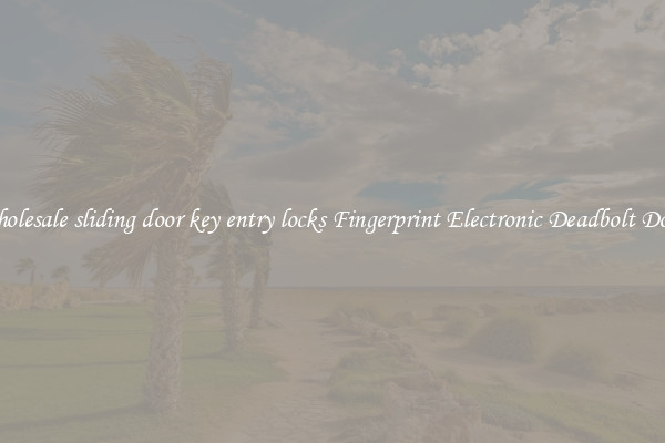 Wholesale sliding door key entry locks Fingerprint Electronic Deadbolt Door 