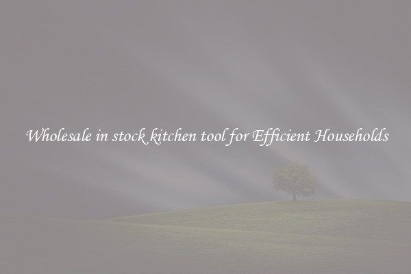 Wholesale in stock kitchen tool for Efficient Households