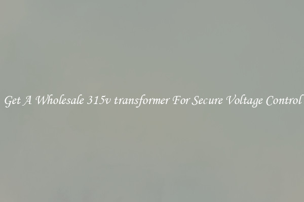 Get A Wholesale 315v transformer For Secure Voltage Control